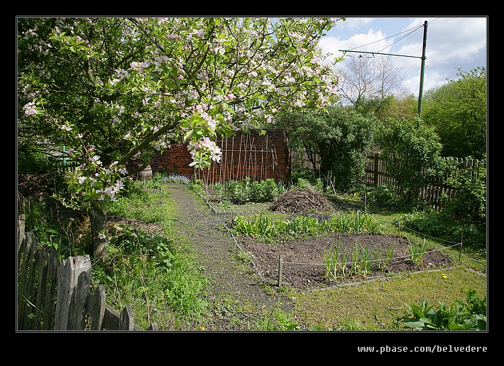 Toll House Vegetable Patch, Black Country Museum