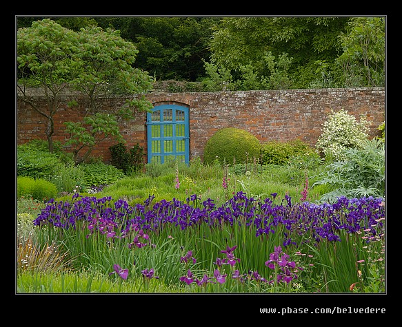 Croft Castle Walled Gardens #17