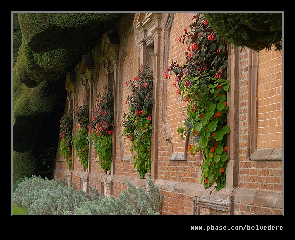 Powis Castle #01