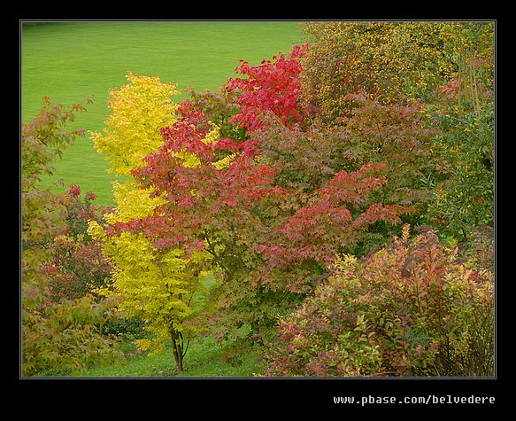 Powis Castle #11