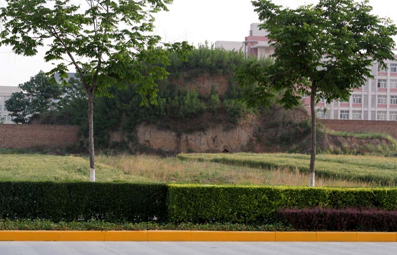 Tomb of an unknown nobleperson