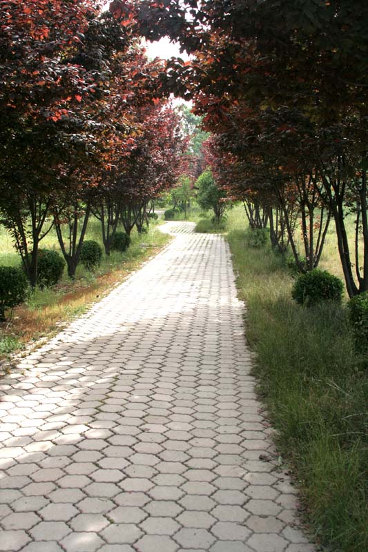 Walkway into palace grounds