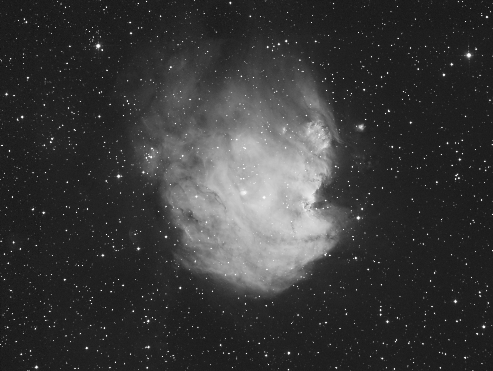 NGC 2174, Monkey Head Nebula in Orion