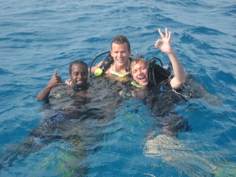 Robins first dive