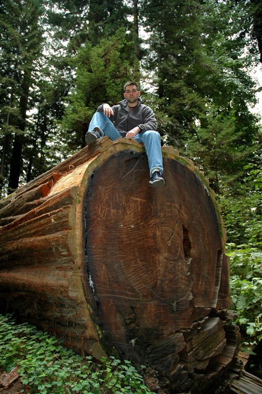 Redwoods04.JPG
