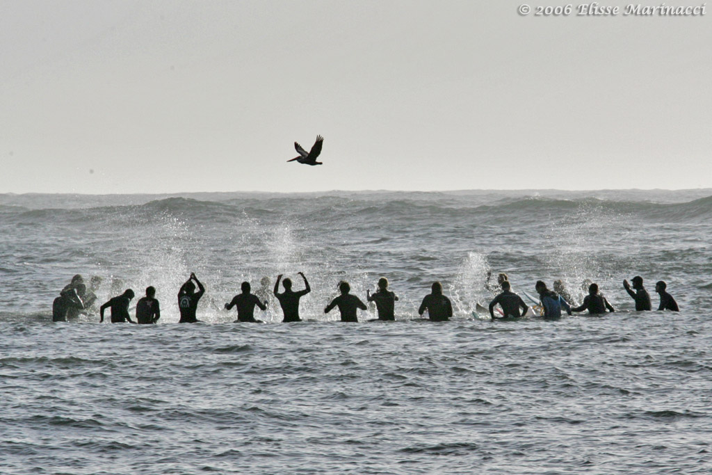 Prayer Splashes