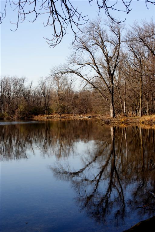 Skokie Lagoon 02