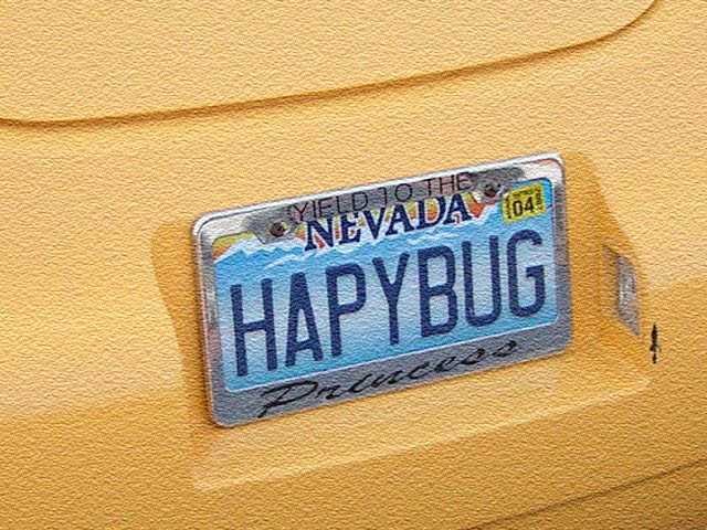 Nevada license plate