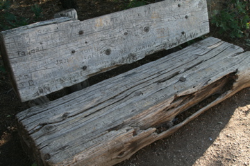 The Old Bench
