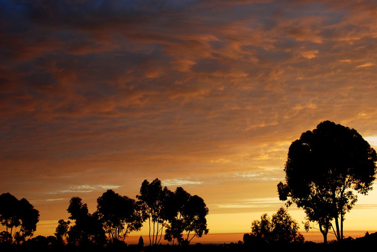 Overlooking Lake Murray, San Diego