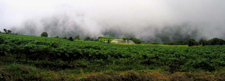 Cloud Line Living