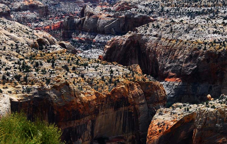 More Great Canyon Action Along the Scenic 12