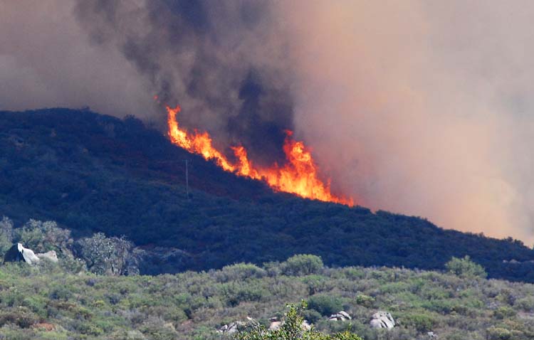 Lots of Fuel for the Fire After a Dry Summer.