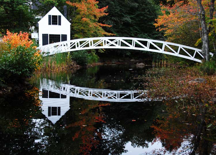 Picturesque Maine!