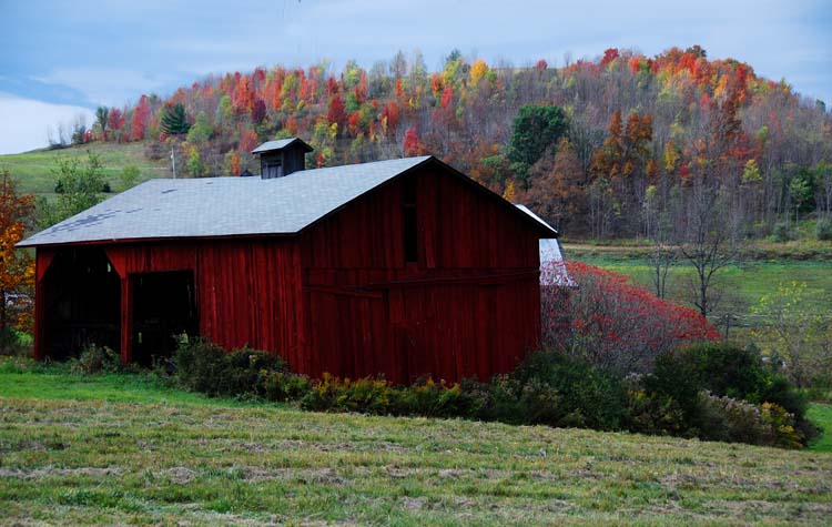 Autumn Comes and Goes Quickly in These Mountains