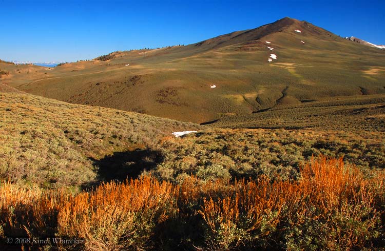 High Mountain Fields of the White Mountains