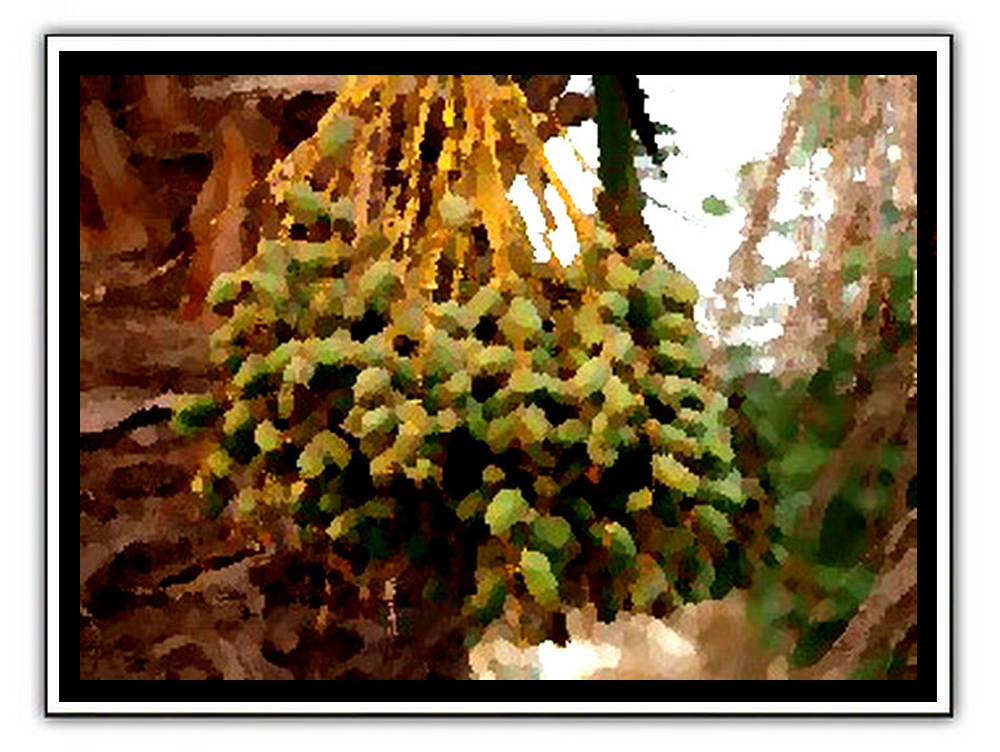 Arabic fruite.jpg