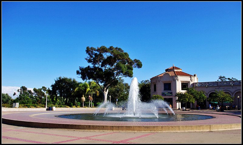 IMGP2703_1.jpg