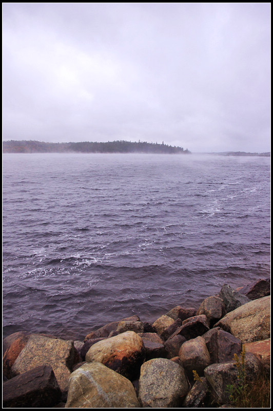 IMGP3495_1.jpg