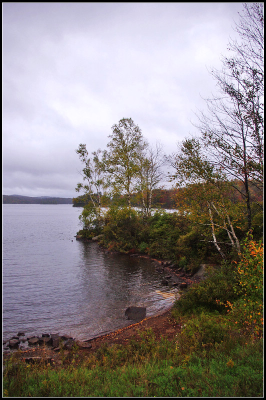 IMGP3509_1.jpg