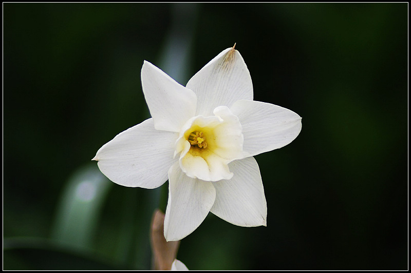 IMGP6638_1.jpg