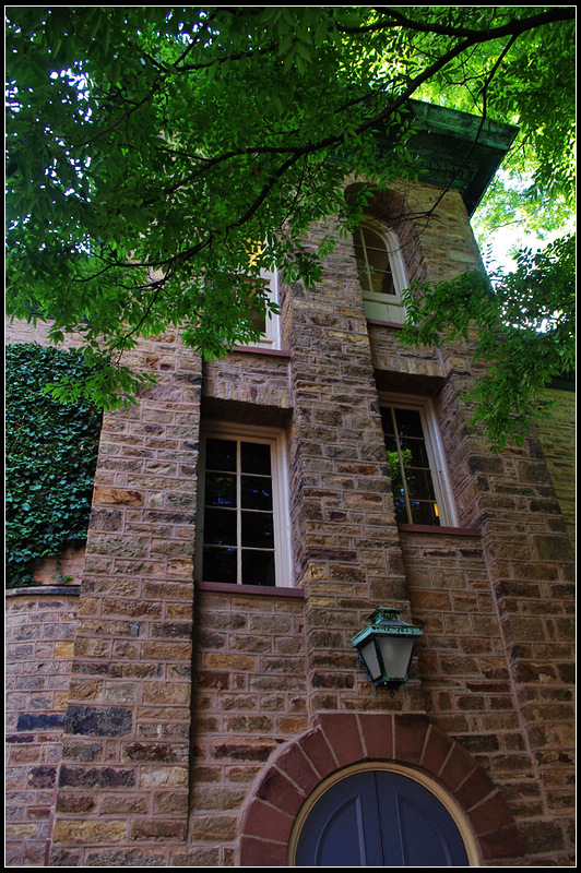 IMGP7398_1.jpg