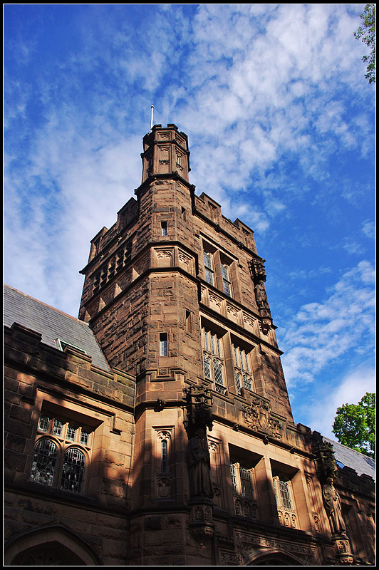 IMGP7400_1.jpg