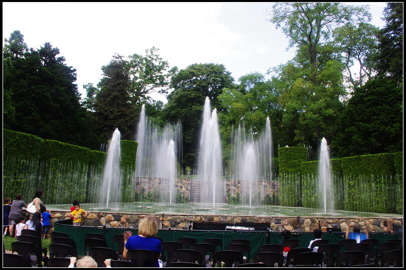 IMGP7539_1.jpg