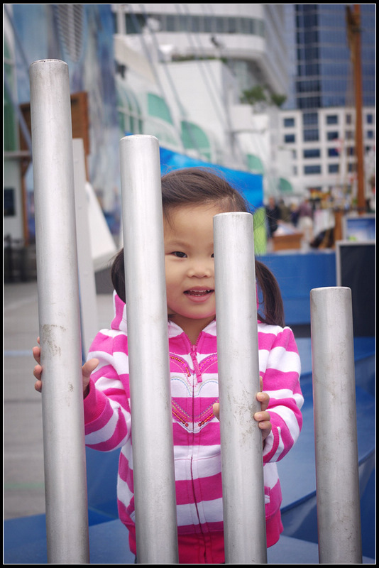IMGP8115_1.jpg