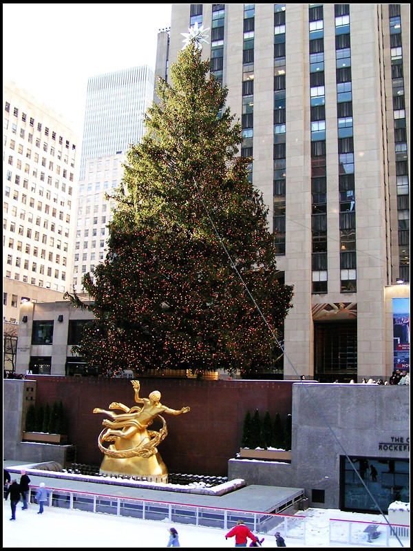 PICT0154_1.jpg