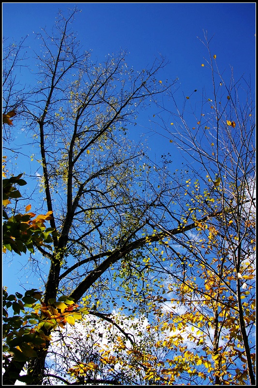 IMGP2314_1.jpg