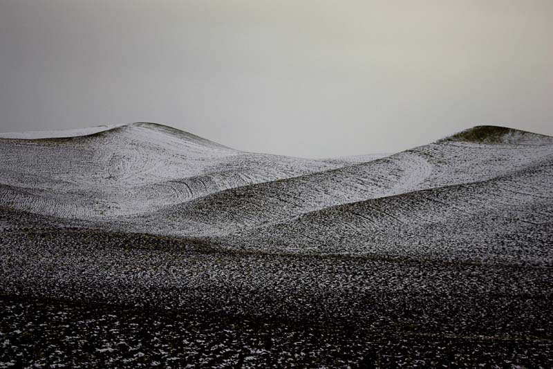 palouse_hills5137.jpg