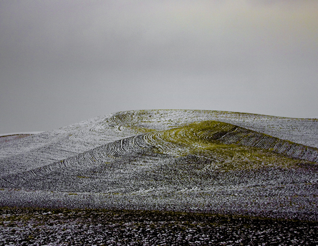 palouse_hills5138.jpg