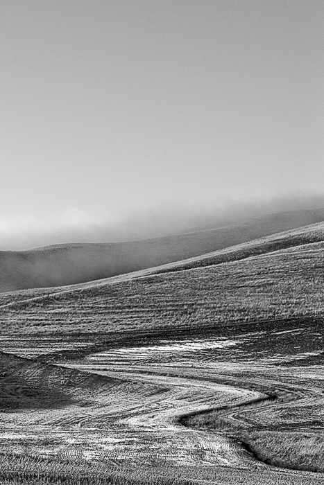Palouse5215.jpg