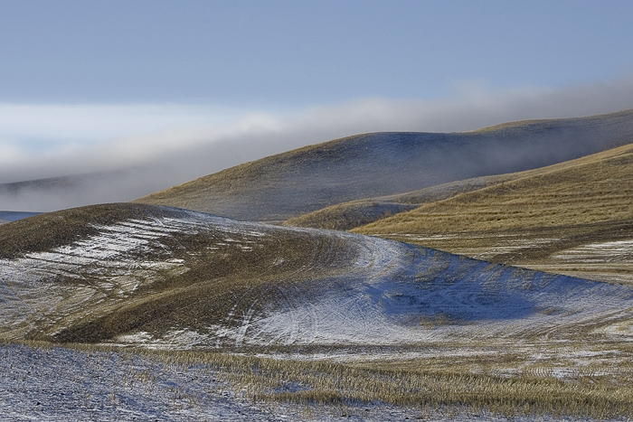 Palouse5216.jpg
