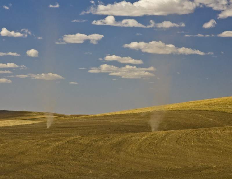 dustdevil-6218.jpg