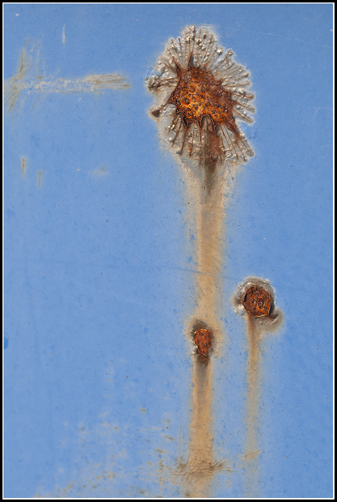 Family Corrosion.