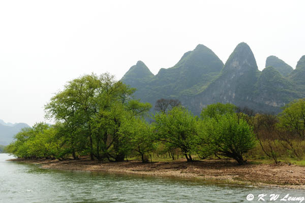 Li River DSC_7977