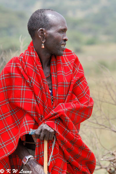 Maasai man 04