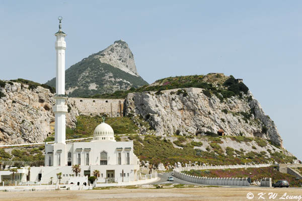 Ibrahim-al-Ibrahim Mosque (DSC_4850)