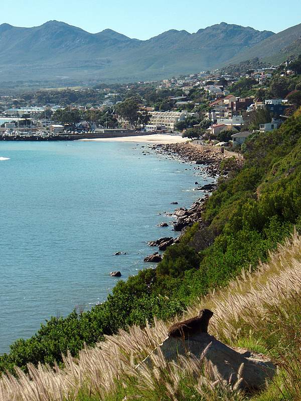 Afrique du Sud Rooi Els False Bay