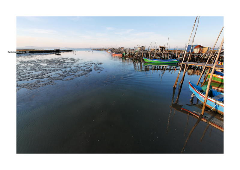 Carrasqueira 7