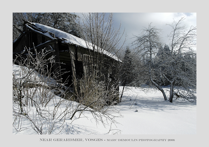 Vosges, near Gerardmer 4