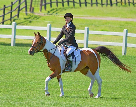 Show Jumping 14653