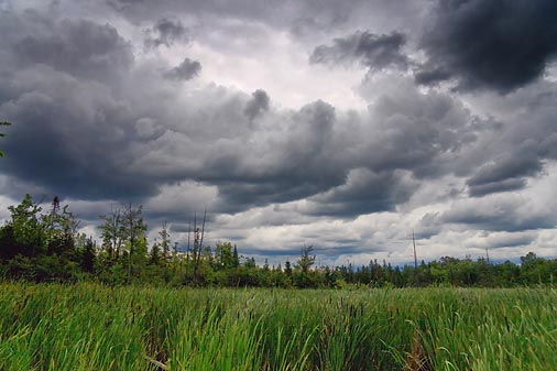 Stony Swamp 16346