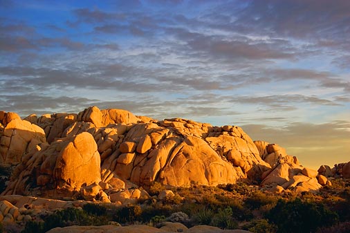 Joshua Tree Rocks At Sunrise 25492