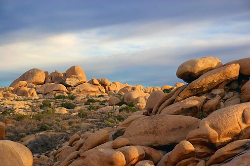 Joshua Tree Rocks 26018