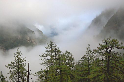 Fog-filled Yosemite Valley 22827