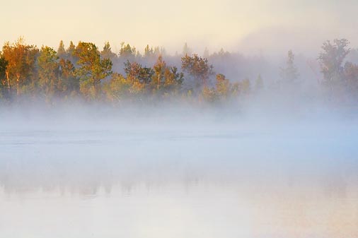 Misty Scugog River At Sunrise 18254