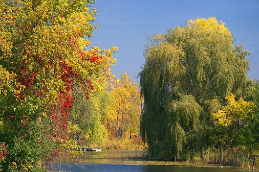 Delta Creek 20906